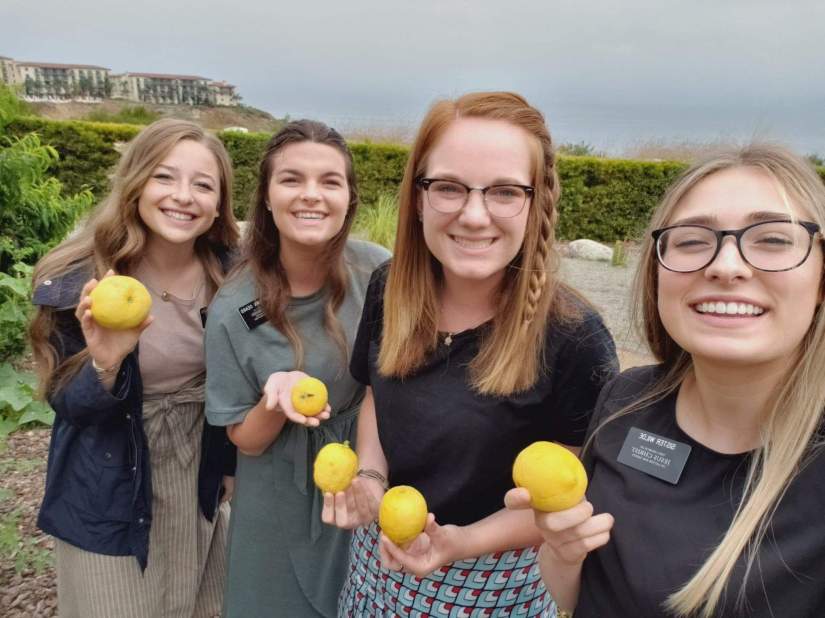 received_479677656139302