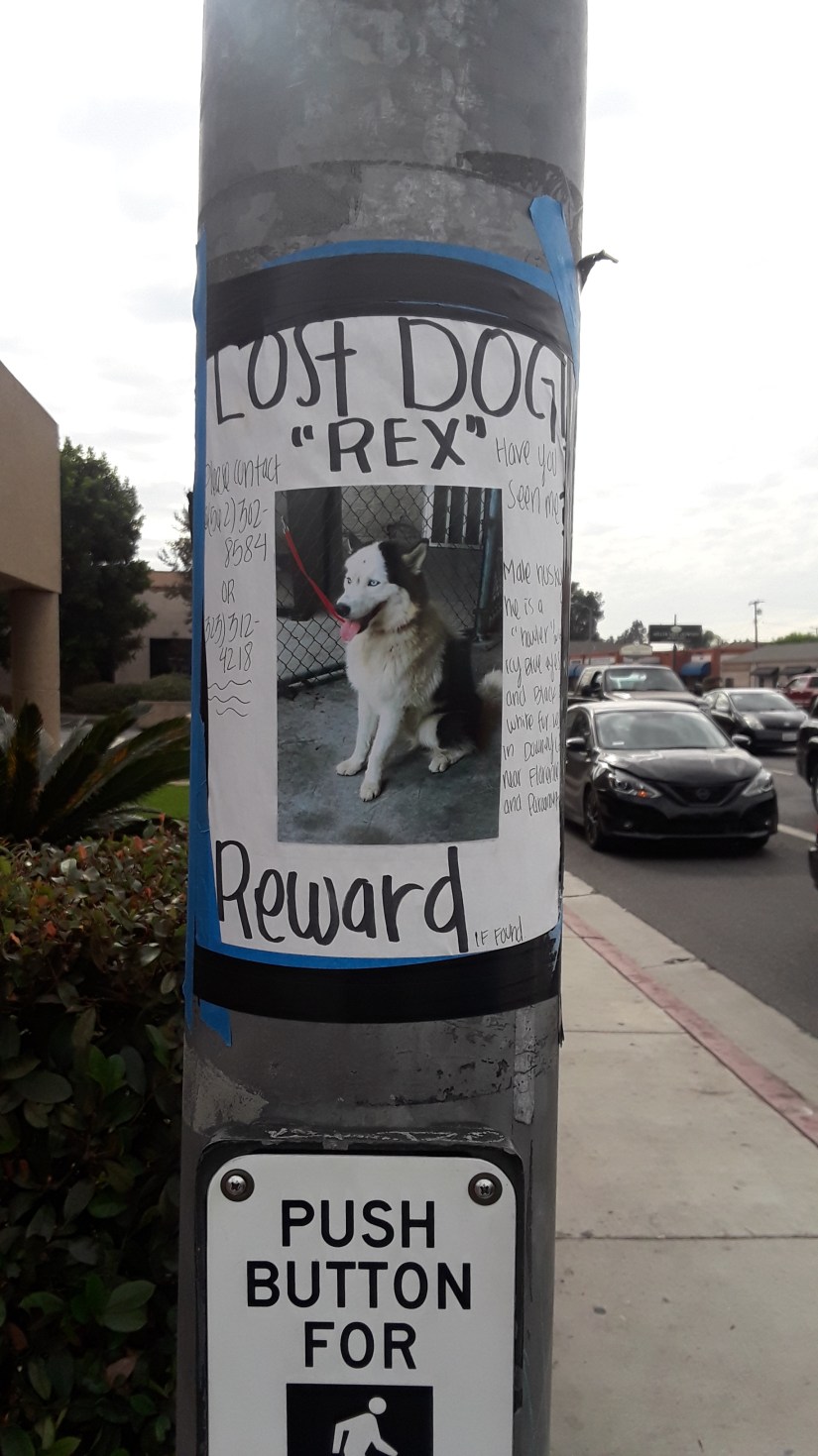 20191119_124958[23607]